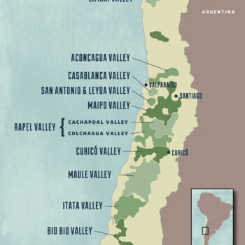 New World Wine Regions - Chile
