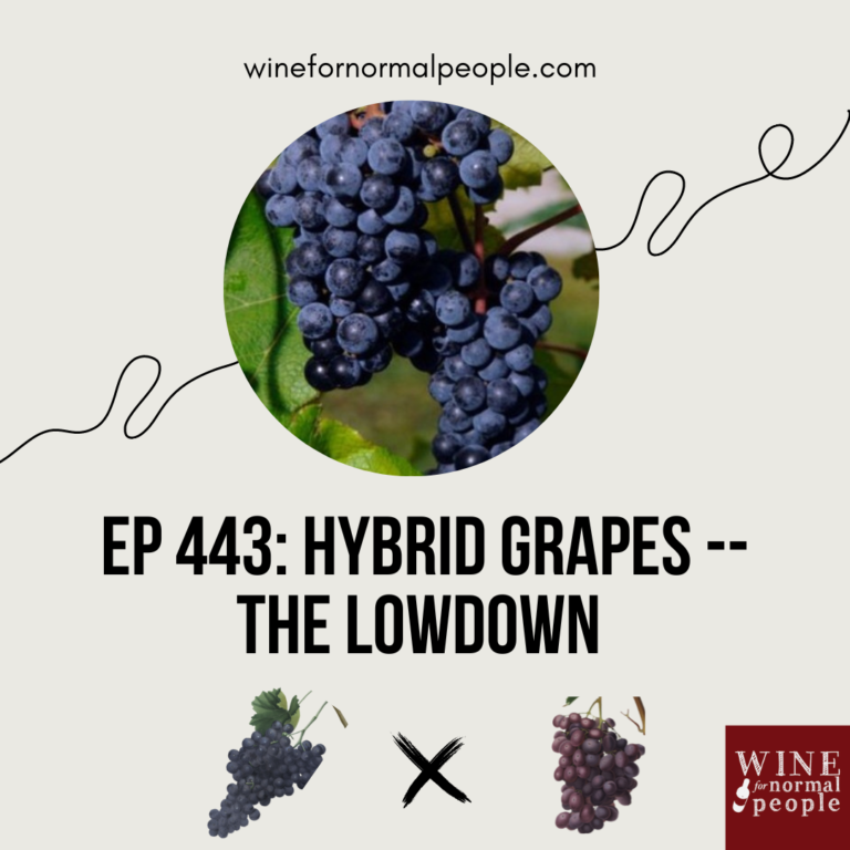 Ep 443: French-American Hybrid Grapes — The Lowdown