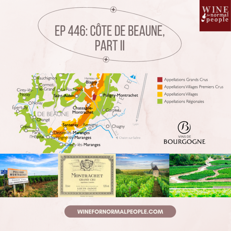 Ep 446: Côte de Beaune of Bourgogne (Burgundy), Part 2
