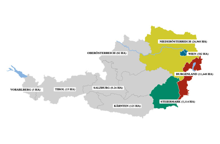 Austrian wine map
